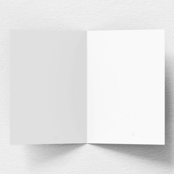 rendered_img_1_f9c3b555-c58b-4cad-921b-e78a91e417ae